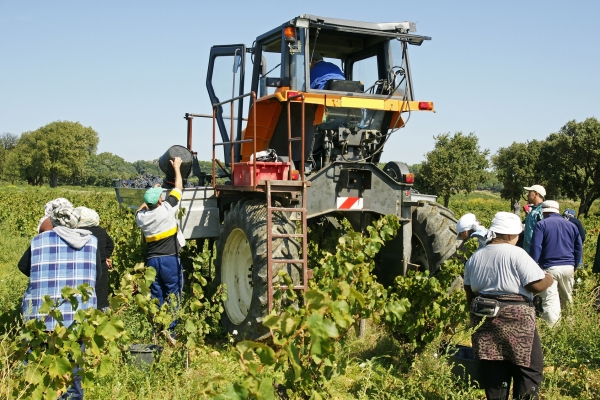 Emploi saisonnier