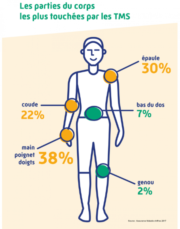 Les parties du corps les plus touchées par les TMS